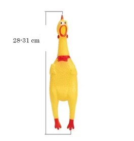 2024-11+poulet grand